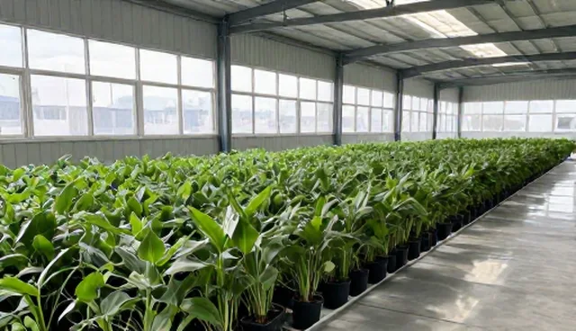 优质种苗在农机种植中的使用与维护建议
